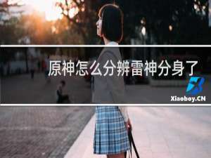 原神怎么分辨雷神分身了