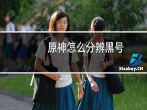 原神怎么分辨黑号