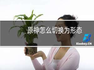 原神怎么切换为形态
