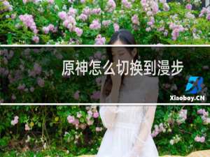 原神怎么切换到漫步