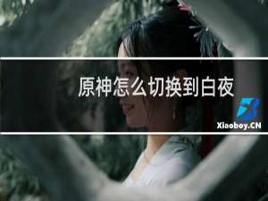 原神怎么切换到白夜