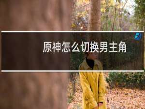 原神怎么切换男主角