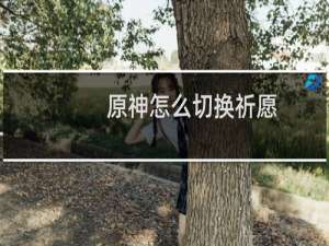 原神怎么切换祈愿