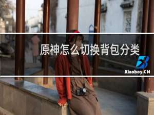 原神怎么切换背包分类