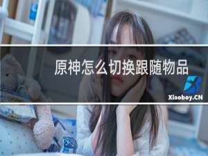 原神怎么切换跟随物品