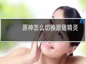 原神怎么切换跟随精灵