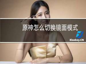 原神怎么切换镜面模式