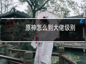 原神怎么到大佬级别