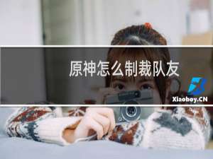 原神怎么制裁队友