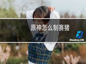 原神怎么制赛猪
