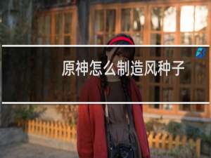 原神怎么制造风种子