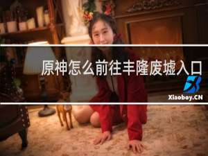 原神怎么前往丰隆废墟入口