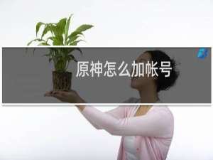 原神怎么加帐号