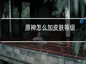 原神怎么加皮肤等级