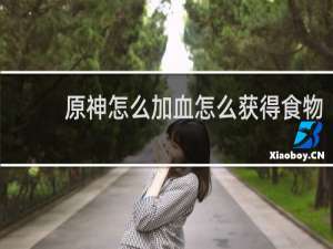 原神怎么加血怎么获得食物