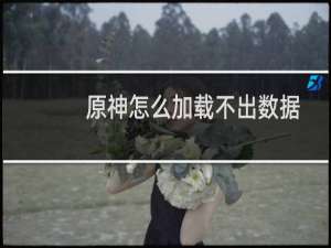 原神怎么加载不出数据