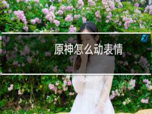 原神怎么动表情