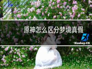 原神怎么区分梦境真假