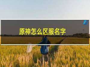 原神怎么区服名字