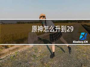 原神怎么升到29
