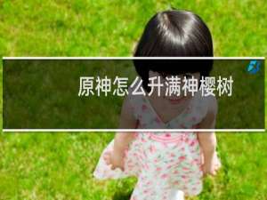 原神怎么升满神樱树