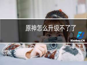 原神怎么升级不了了