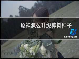 原神怎么升级神树种子