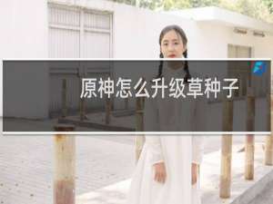 原神怎么升级草种子