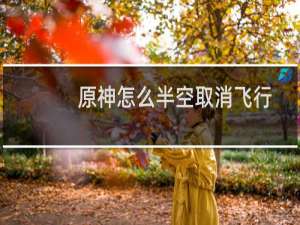 原神怎么半空取消飞行