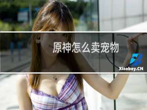 原神怎么卖宠物