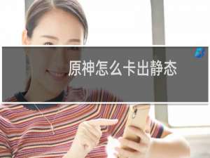 原神怎么卡出静态