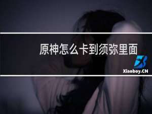 原神怎么卡到须弥里面