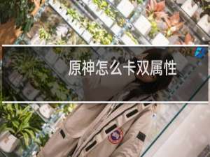 原神怎么卡双属性