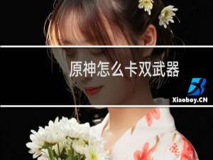 原神怎么卡双武器