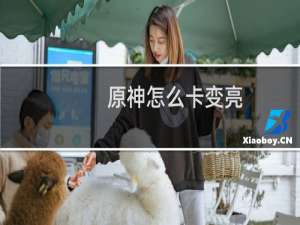 原神怎么卡变亮