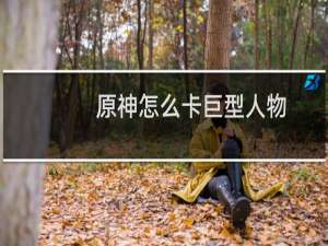 原神怎么卡巨型人物