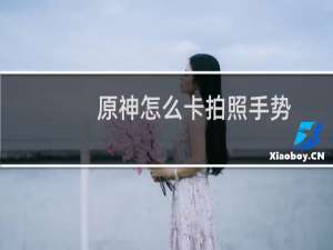 原神怎么卡拍照手势