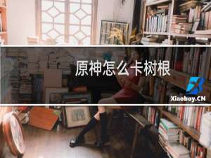 原神怎么卡树根