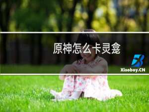 原神怎么卡灵龛