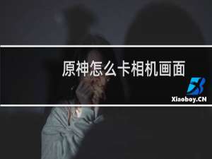 原神怎么卡相机画面