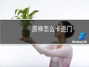 原神怎么卡进门