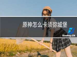原神怎么卡须弥城堡