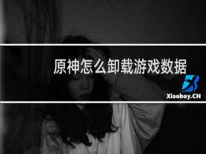 原神怎么卸载游戏数据