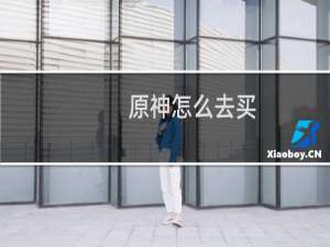 原神怎么去买