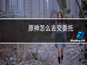 原神怎么去交委托