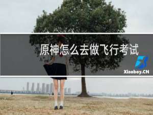 原神怎么去做飞行考试