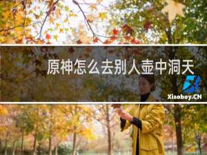 原神怎么去别人壶中洞天