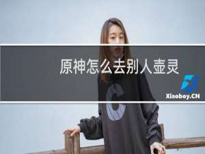 原神怎么去别人壶灵