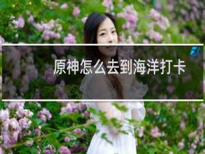 原神怎么去到海洋打卡
