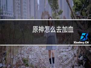 原神怎么去加血